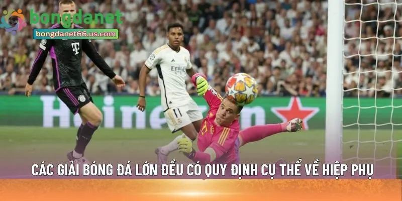 Các giải bóng đá lớn