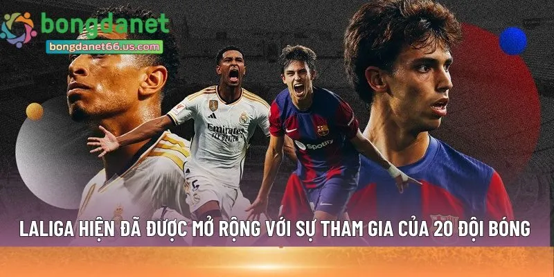 20 đội bóng mỗi năm