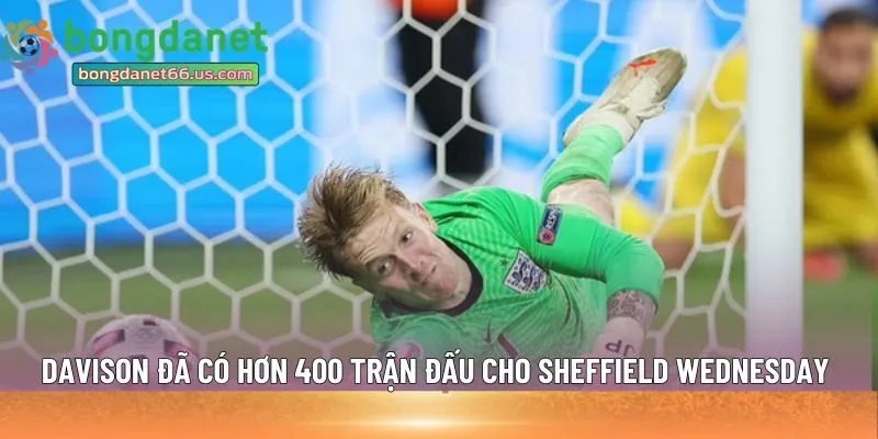 Thủ môn Davison đã có hơn 400 trận đấu 